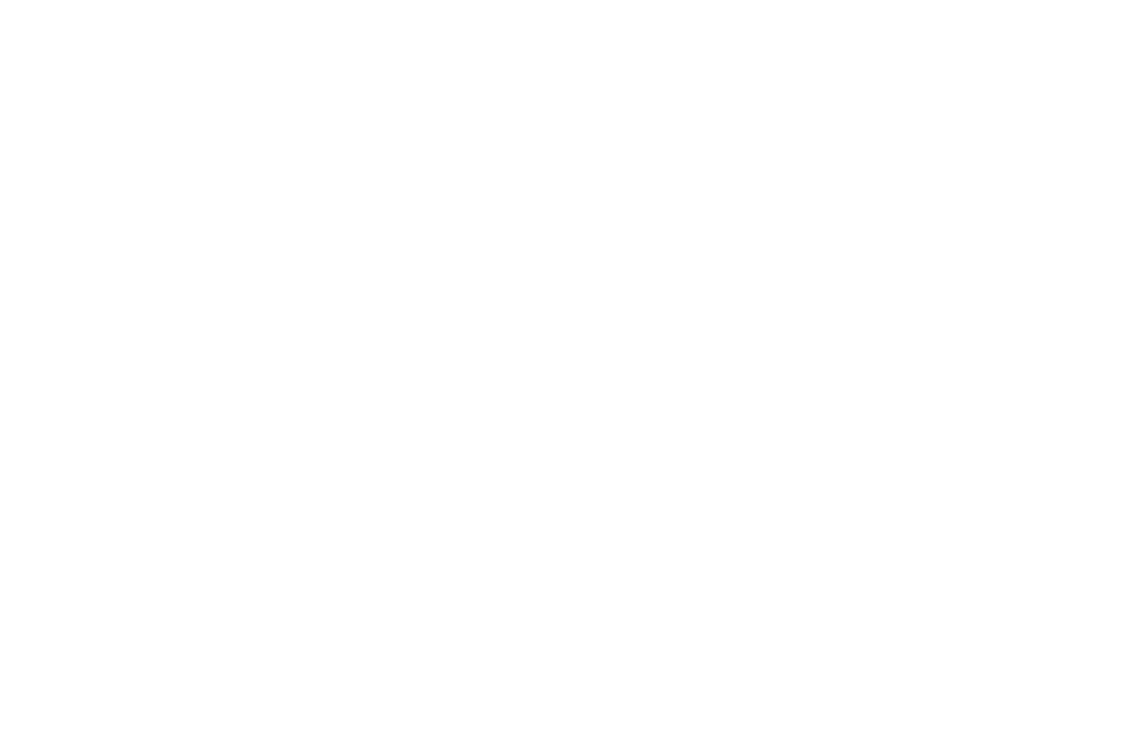 Fuel Fuel